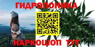 дурь Лесосибирск