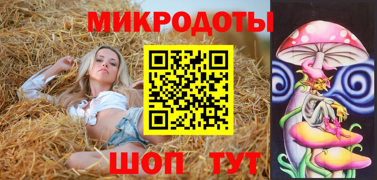 Псилоцибиновые грибы Magic Shrooms  сколько стоит  Грозный  Вход с VPN 
