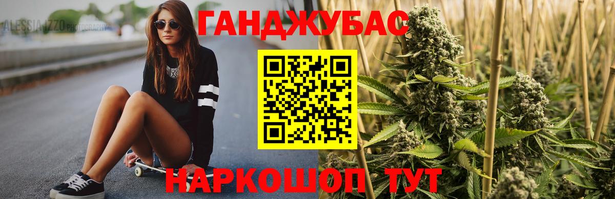 Бошки марихуана ГИДРОПОН  Вход с VPN  МАРИХУАНА планчик  Шишки марихуана семена  Каннабис Bruce Banner  Грозный 